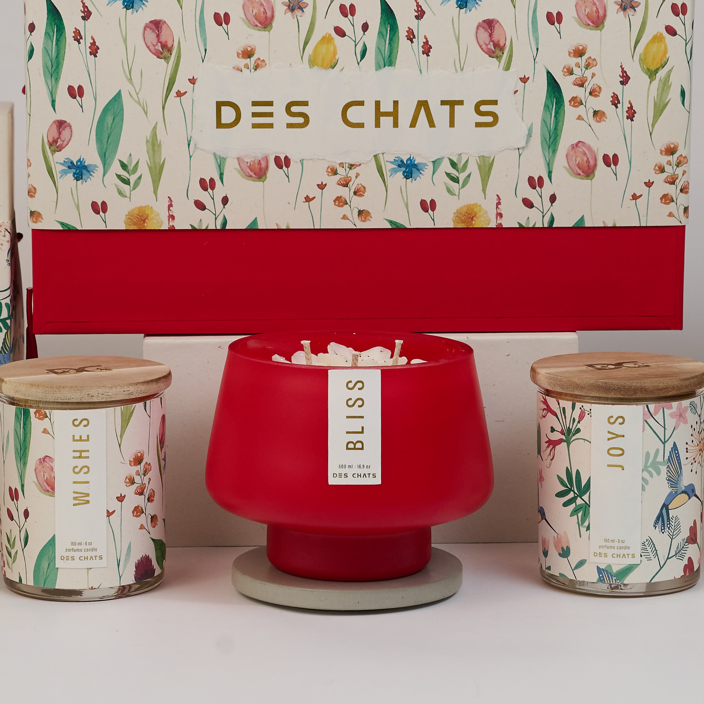 DES CHATS
